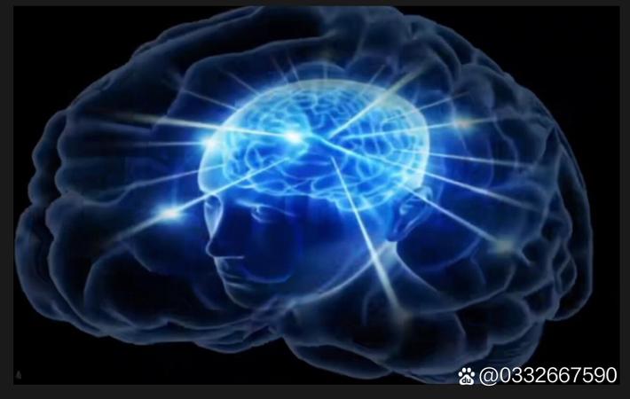 克耶高斯出任戴维斯杯队长引哗然,争议人物转型管理岗位遭传统派抵制